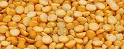 Moth Bean Whole